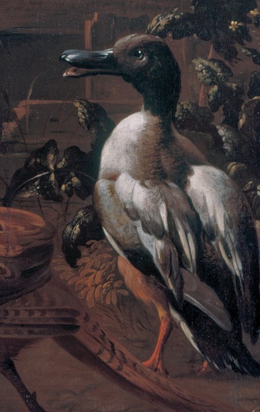 He specialized in depicting birds with natural accuracy.