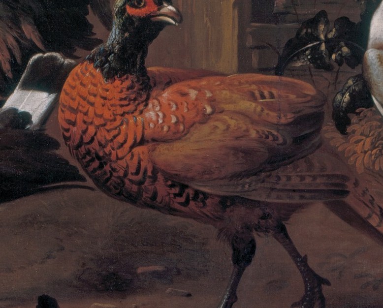 He captured every feather, every intricate pattern.