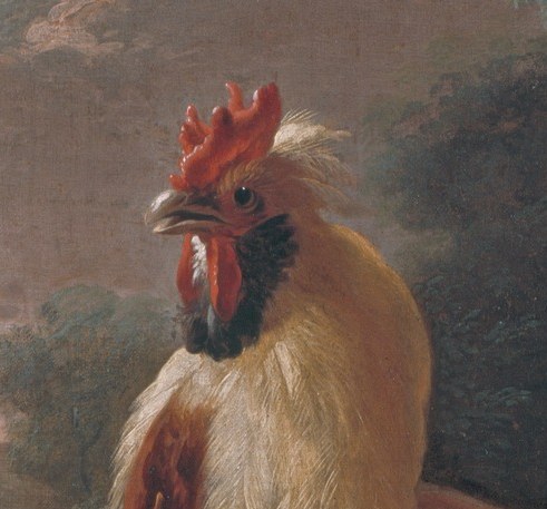 Every strand of plumage brought to life with oil paint.