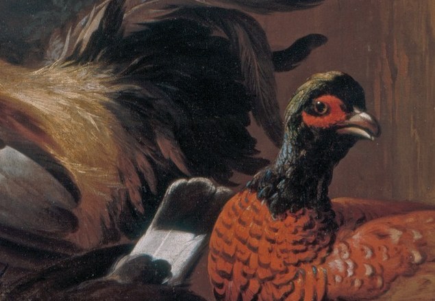 Look how the light catches the rooster’s iridescent tail.