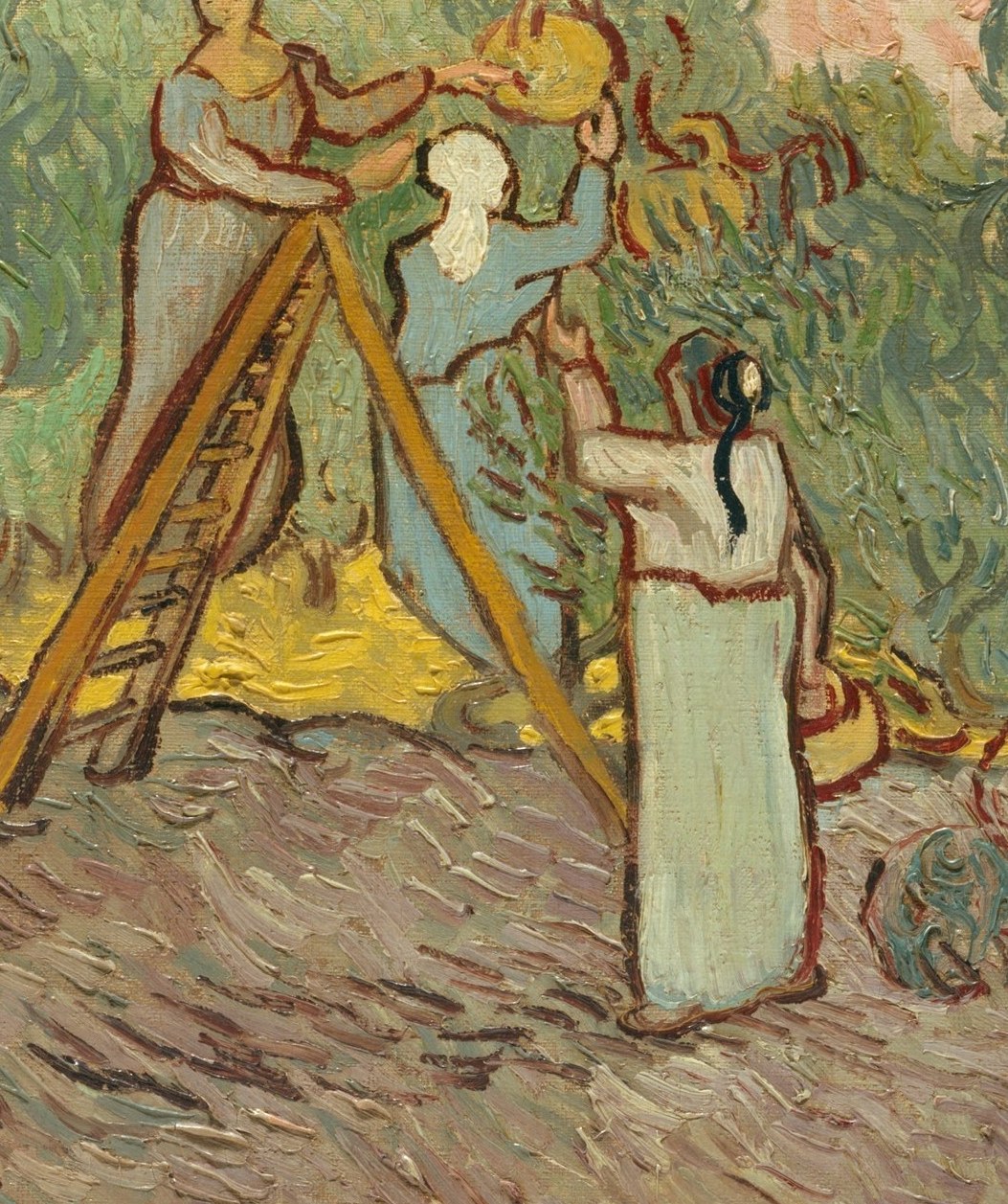 Three women harvest olives. The work is calm, absorbed, unbroken.