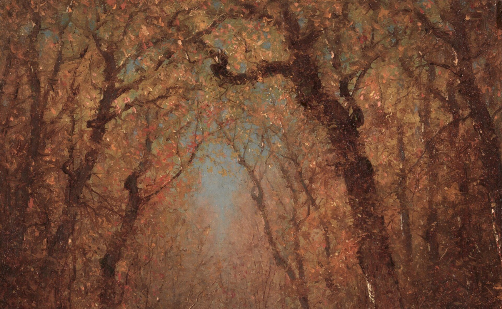 See how the leaves let the light through.
