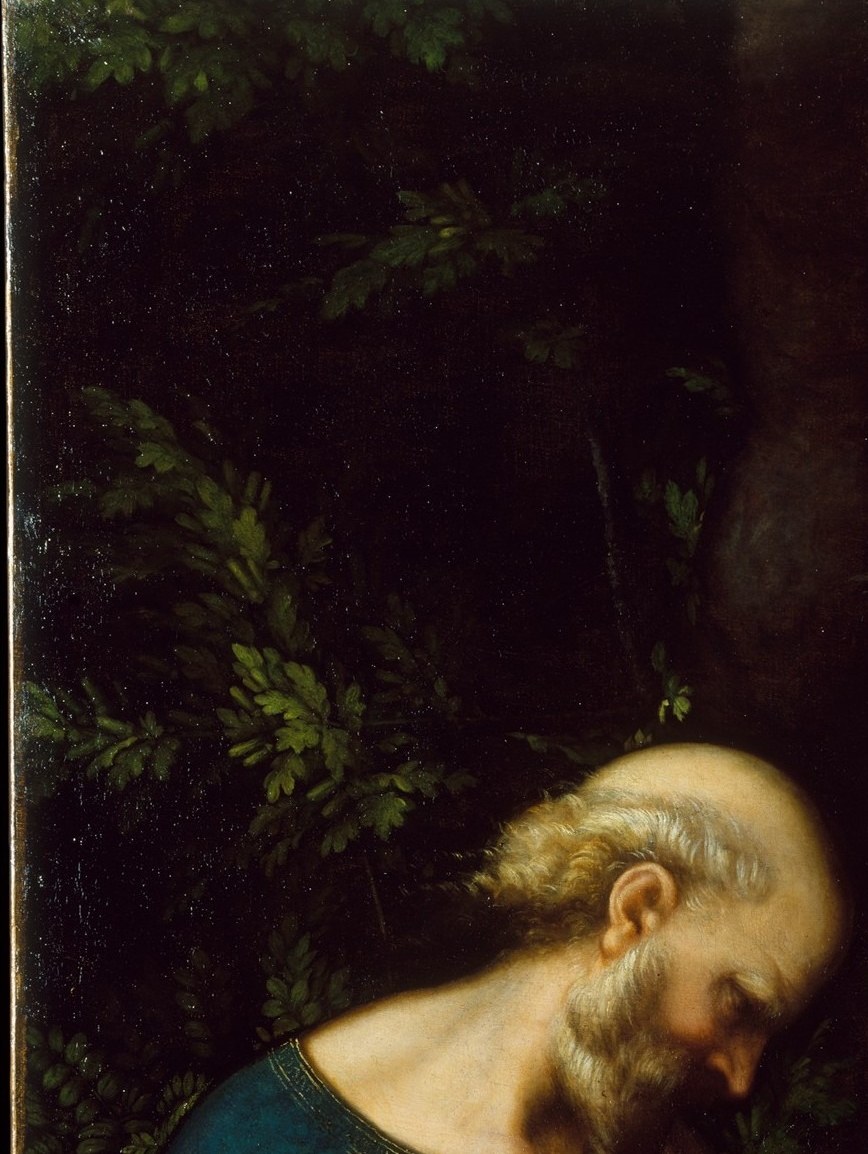 Elderly, slightly averted gaze conveys quiet authority , the founding apostle rendered with Correggio's characteristic softness rather than severity