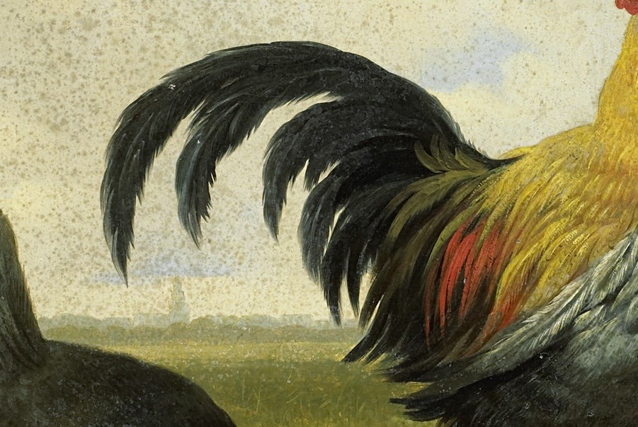 Every feather is rendered with meticulous care.