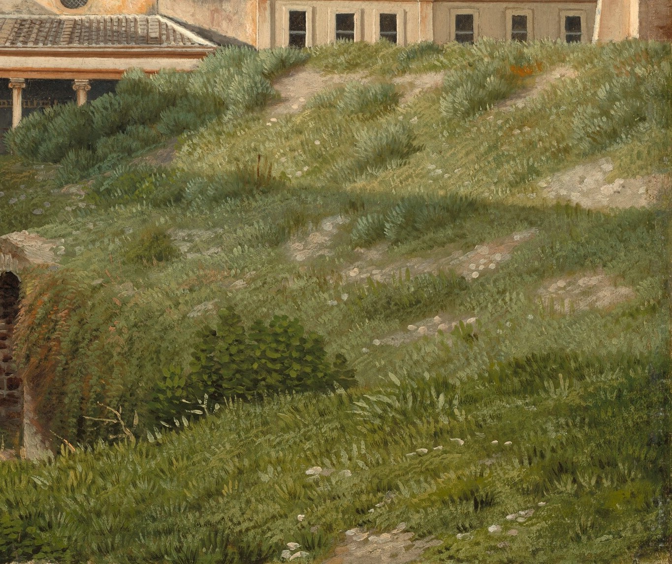 Look at the sunlight catching these wild grasses in front.