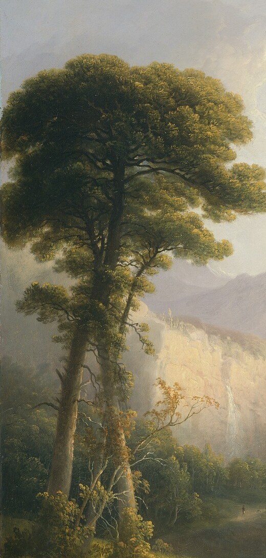 Classical repoussoir device borrowed from Claudian landscape , their silhouette against the lit sky is almost theatrical; close inspection shows delicate leaf-cluster brushwork at the canopy.