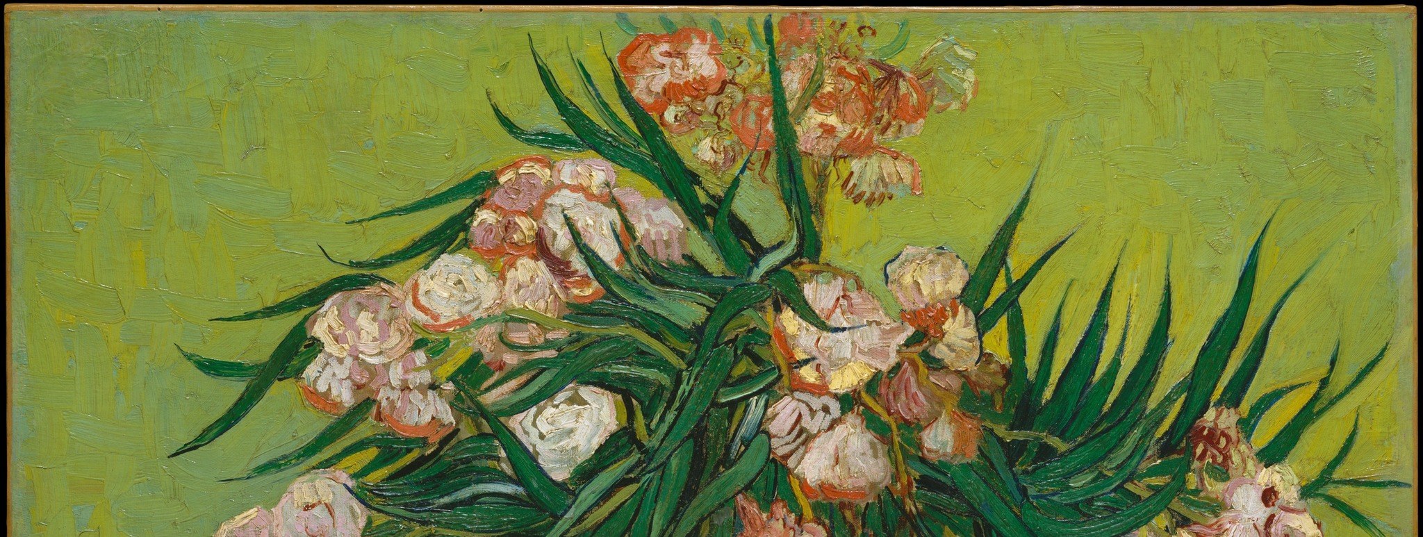 The luminous yellow background amplifies their intensity.