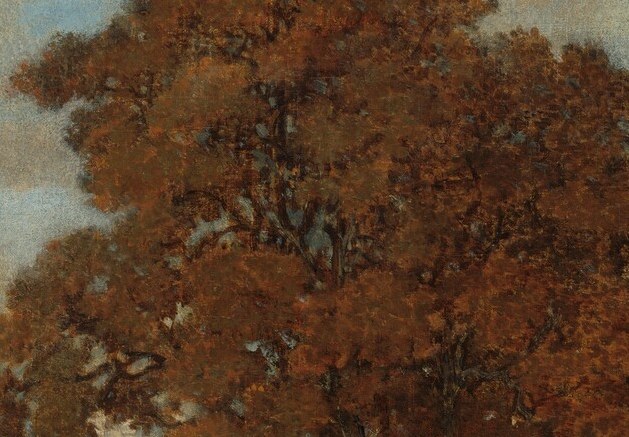 Every leaf and branch seems to absorb the lingering moisture.