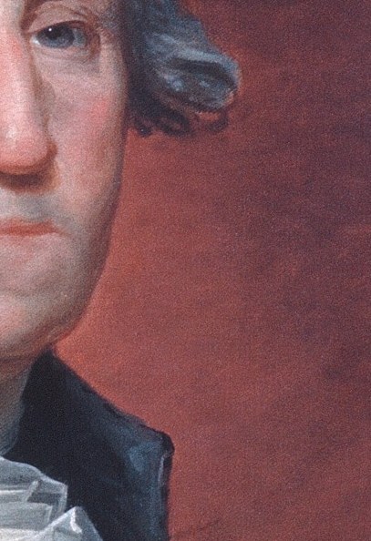 Every Stuart Washington shares this same asymmetric swelling.