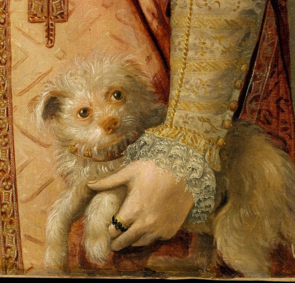 And she gently holds a pampered dog with a jeweled collar.