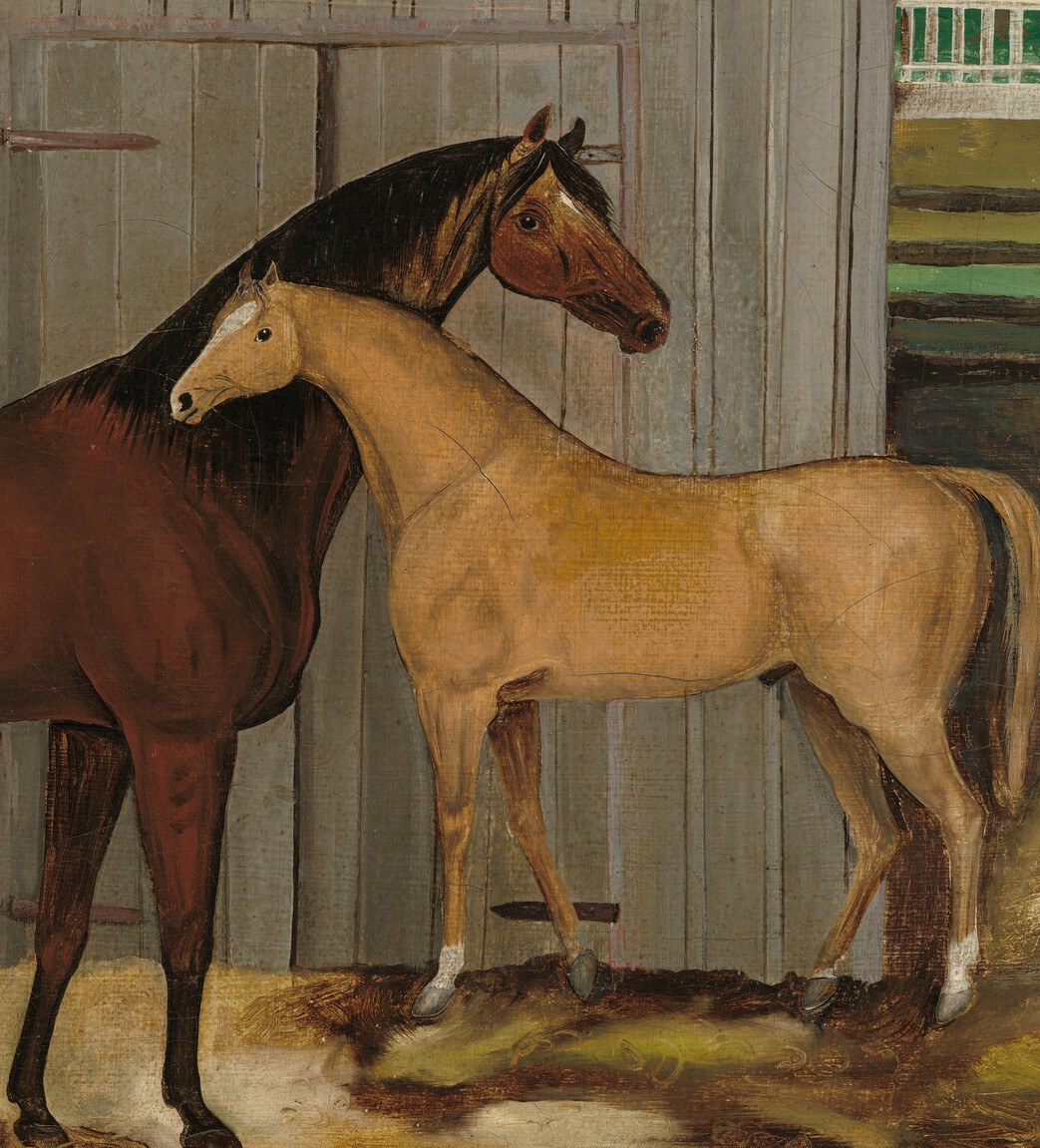 Here, two horses, a dark brown and a light tan, stand together.