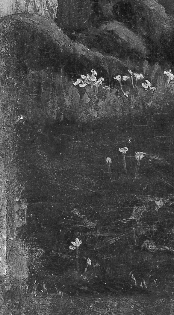 Recording stories. Before the oldest villagers took them to the grave.