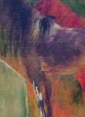 The light catches the texture of the dark horse's mane.