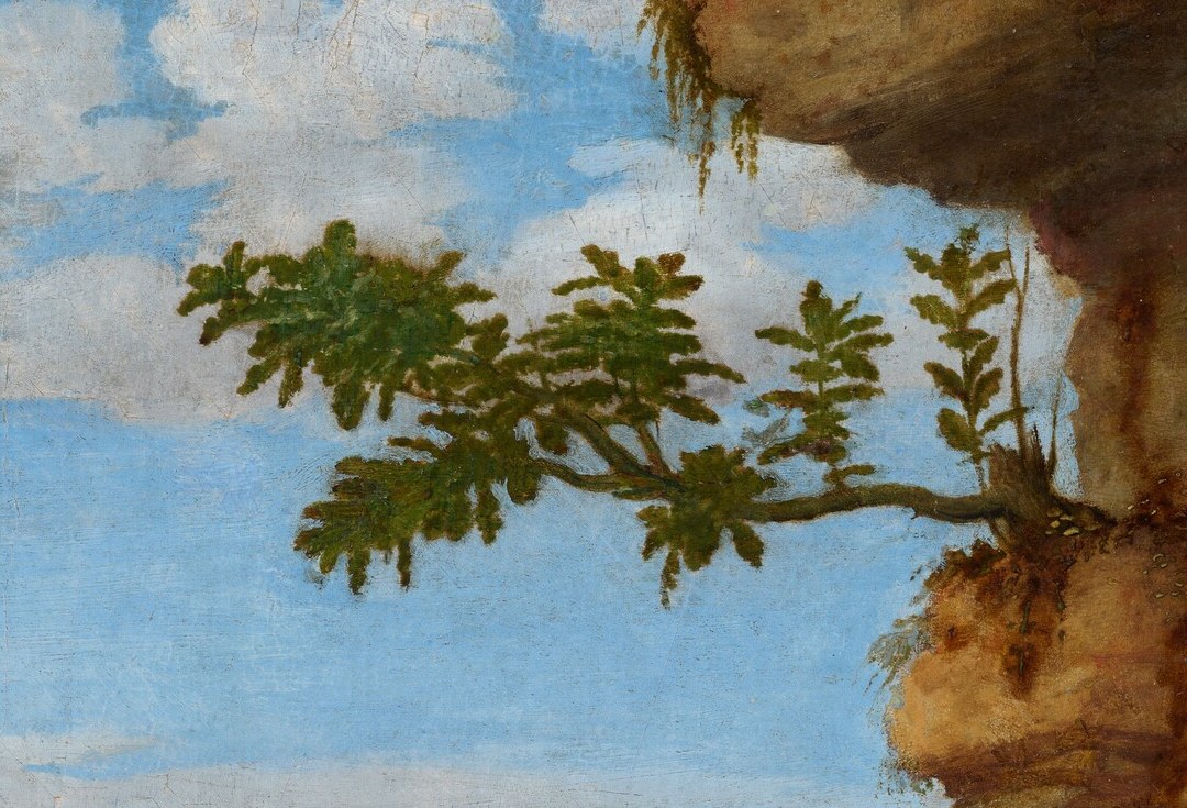 Life sprouting from stone is a quiet metaphor for resurrection and the tenacity of grace.