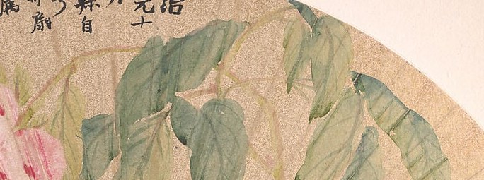 The varied shades of green and subtle veins suggest the naturalistic growth and vitality of the plant.