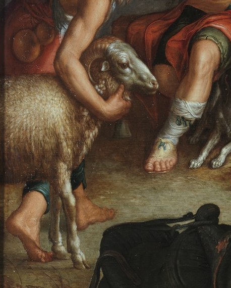 A lamb awaits the shepherd's hands.