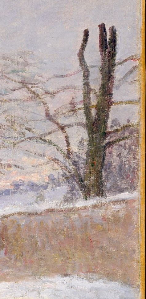 The bare trees stand stark against the pale, diffused sky.