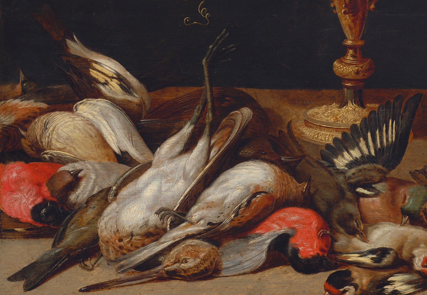 Then look at the birds, their feathers ruffled and soft.