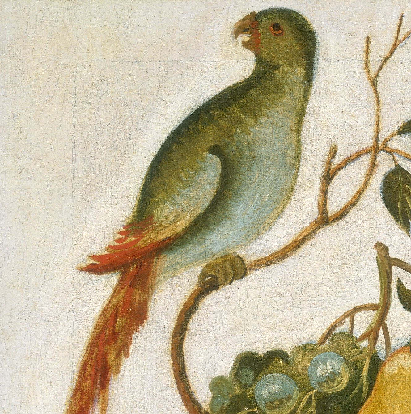 And this parrot would have been a rare, expensive pet.