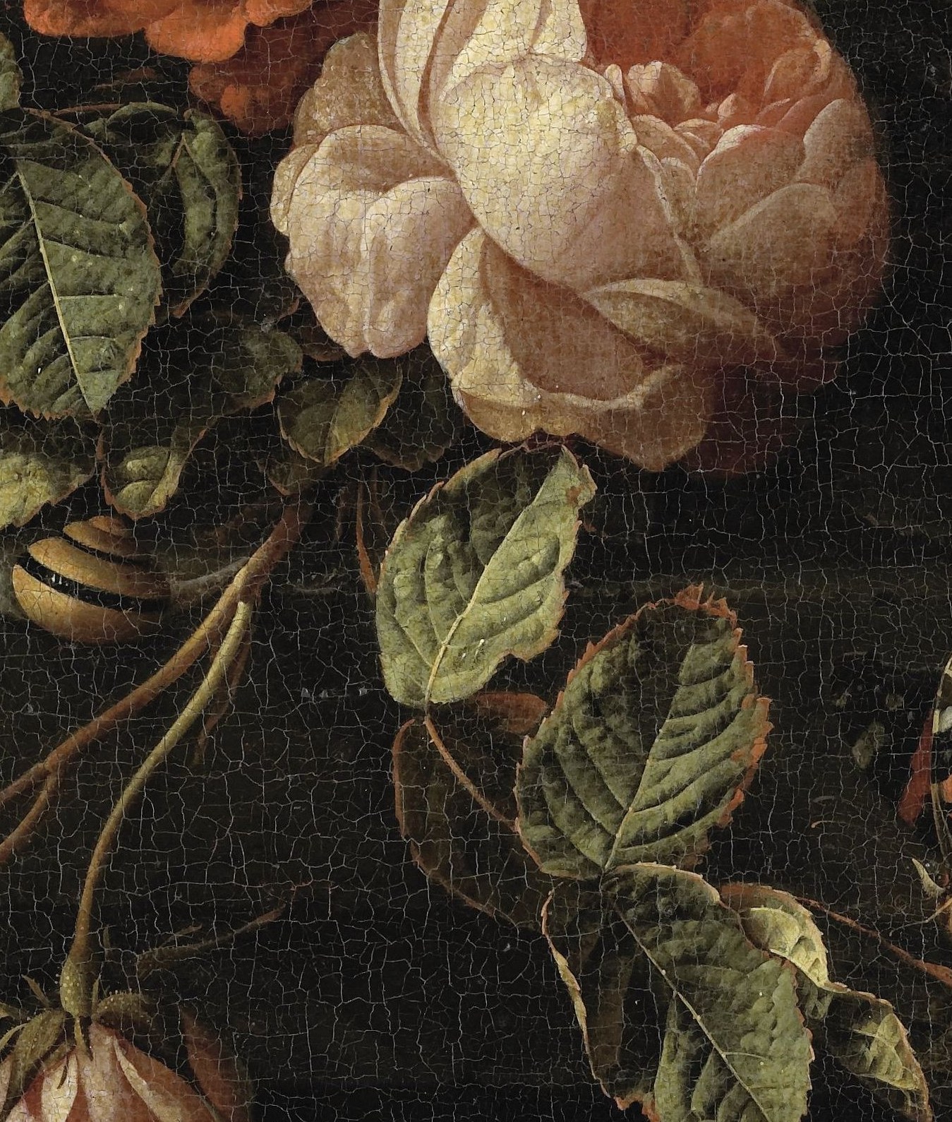The central rose: pale pink, precise petal over petal.