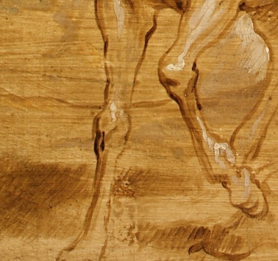 The horse's legs show taut power.